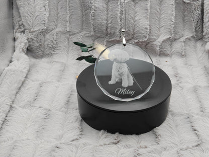 Kristallanhänger mit Fotogravur Tierfoto Christbaumanhänger Baumschmuck Schmuck Weihnachten Fensterschmuck