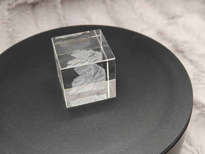 3D Foto im Kristall Würfel Kristallwürfel Gravur Fotogravur 30x30x30mm