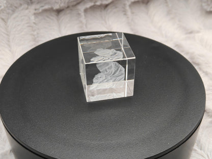 3D Foto im Kristall Würfel Kristallwürfel Gravur Fotogravur 30x30x30mm