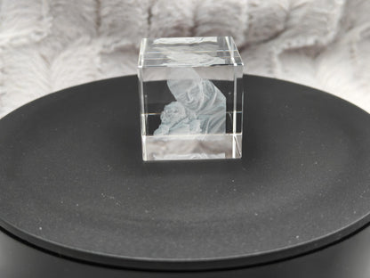 3D Foto im Kristall Würfel Kristallwürfel Gravur Fotogravur 30x30x30mm