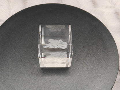 3D Foto im Kristall Würfel Kristallwürfel Gravur Fotogravur 30x30x30mm
