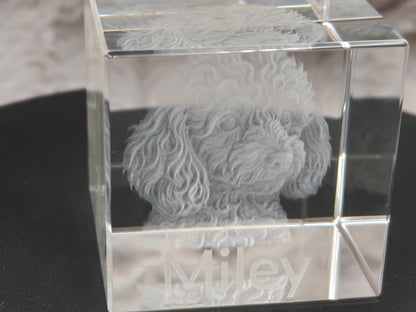 3D Foto Tierfoto im Kristall Würfel Kristallwürfel Haustier Gravur Fotogravur 40x40x40mm