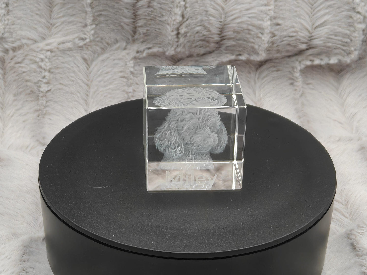 3D Foto Tierfoto im Kristall Würfel Kristallwürfel Haustier Gravur Fotogravur 40x40x40mm
