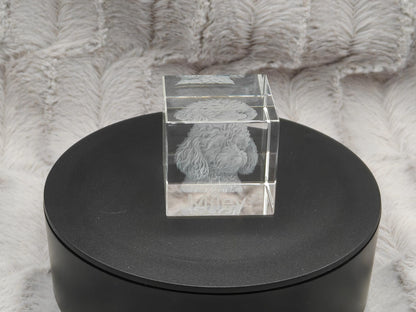 3D Foto Tierfoto im Kristall Würfel Kristallwürfel Haustier Gravur Fotogravur 40x40x40mm