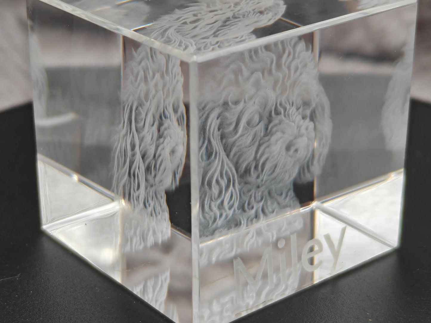 3D Foto Tierfoto im Kristall Würfel Kristallwürfel Haustier Gravur Fotogravur 40x40x40mm