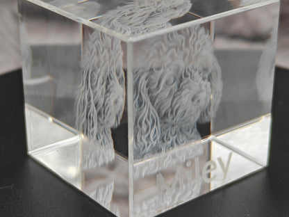 3D Foto Tierfoto im Kristall Würfel Kristallwürfel Haustier Gravur Fotogravur 40x40x40mm