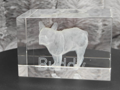 3D Foto im Kristall Quaderförmig Gravur Fotogravur 60x40x40mm