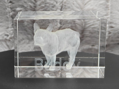 3D Foto im Kristall Quaderförmig Gravur Fotogravur 60x40x40mm